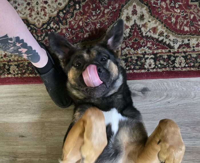 image-20250311134126-13