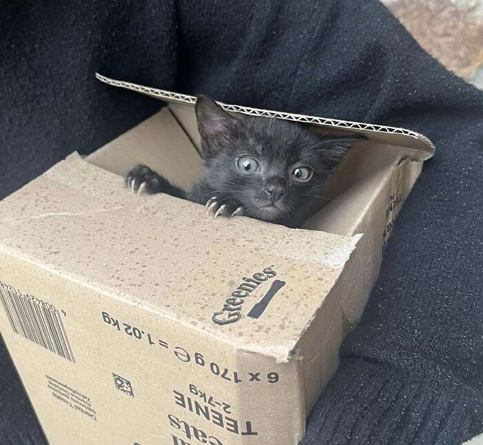 image-20250311134129-14