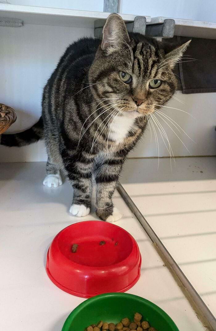 image-20250311134135-16