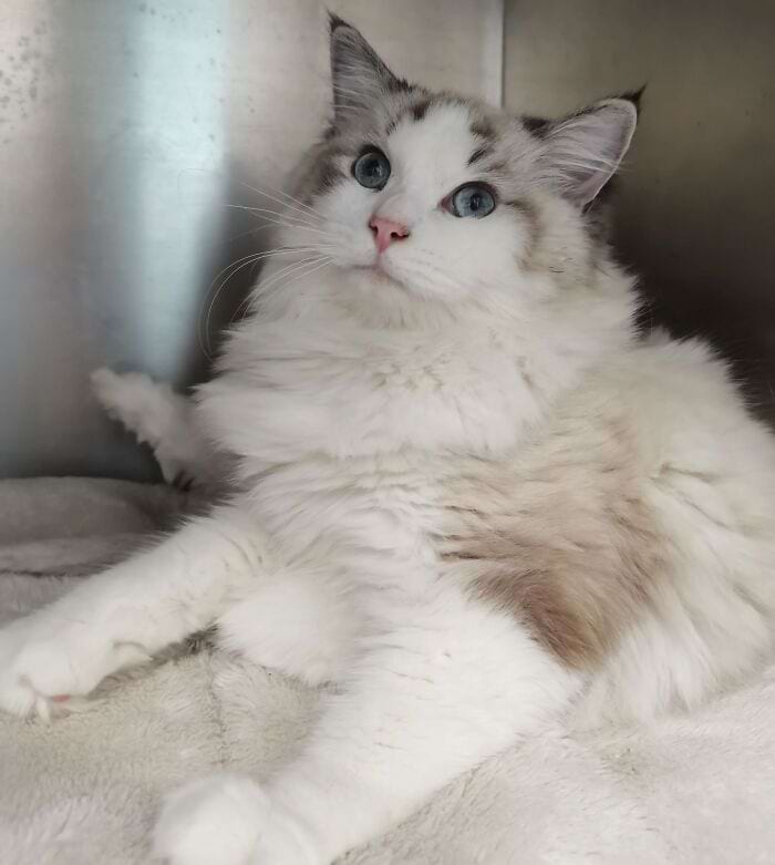 image-20250311134138-17