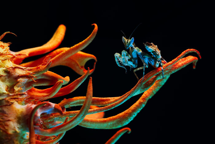 image-20250313124906-3