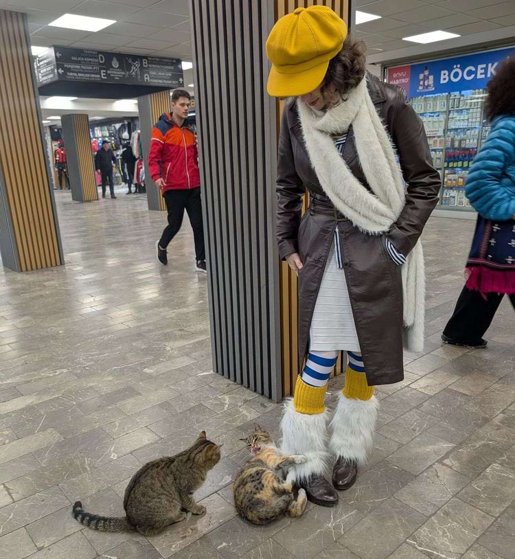 image-20250314140449-3