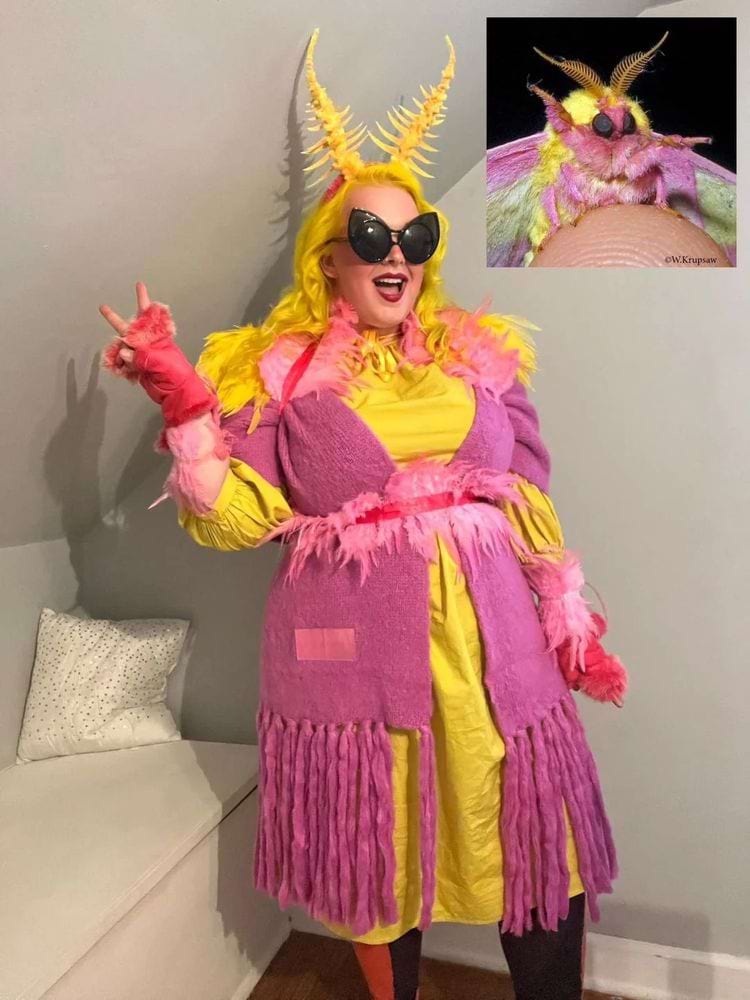 image-20250314140601-18