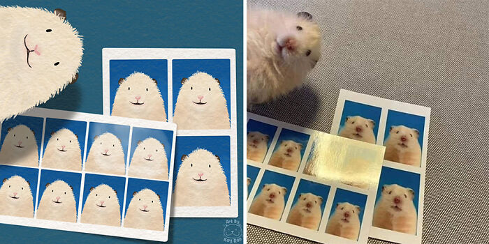 image-20250317103848-1