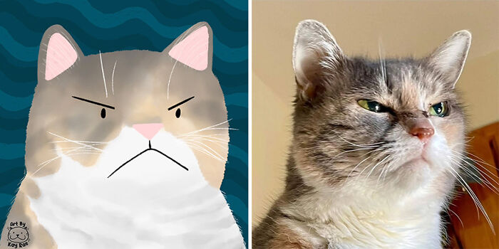 image-20250317103930-14