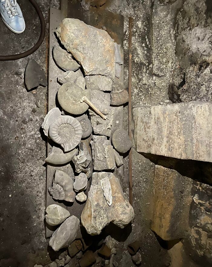 image-20250326180849-6