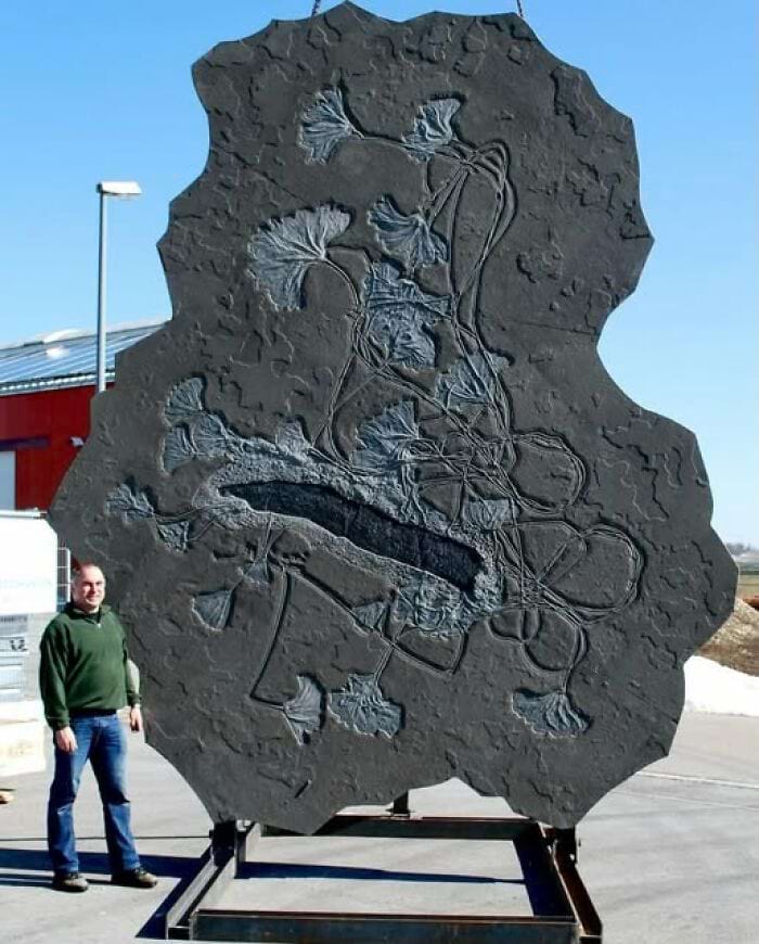 image-20250328110444-2