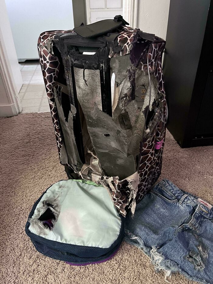 image-20250402121728-16