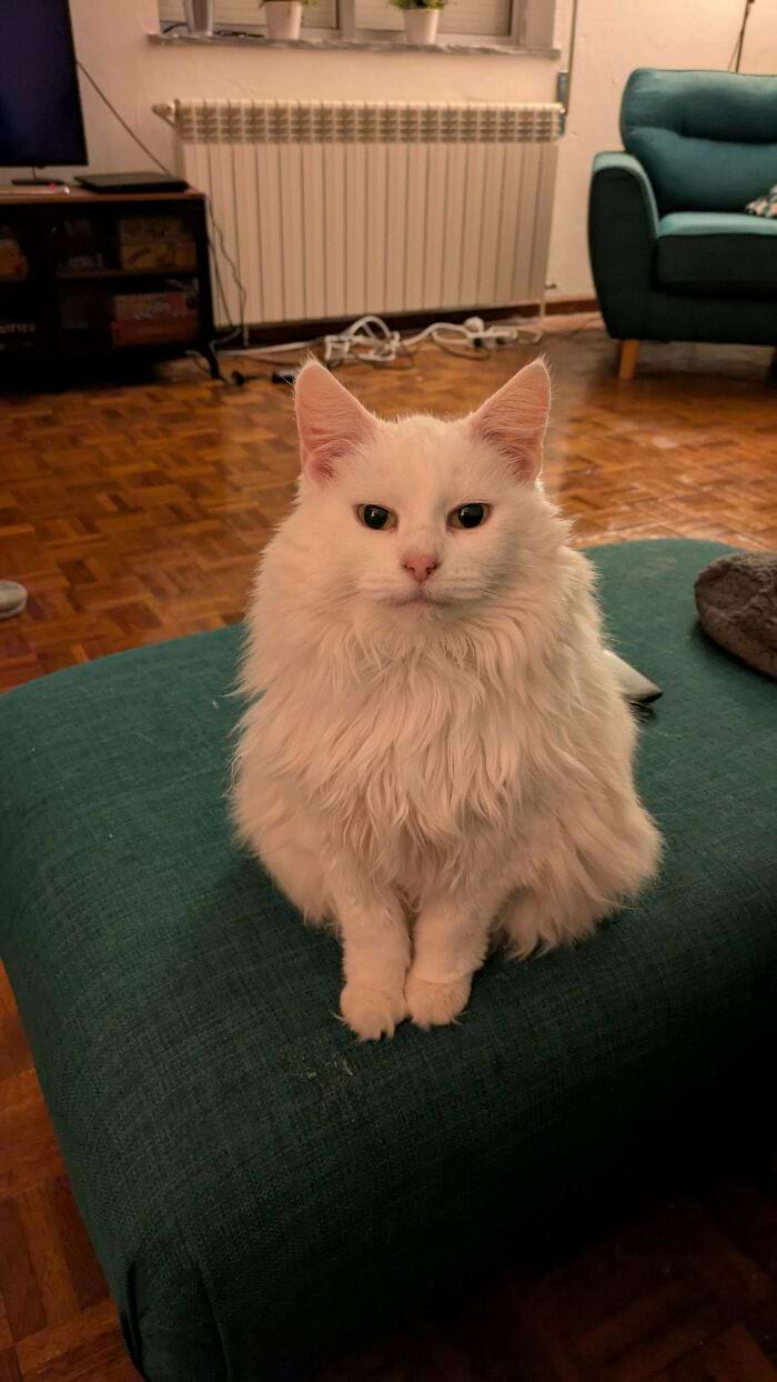 image-20250402142054-6