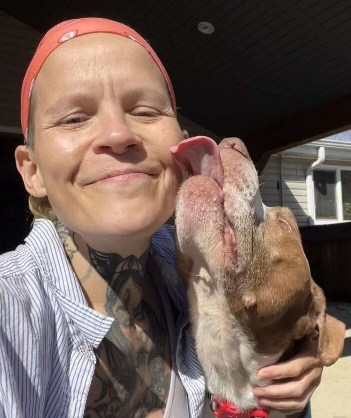 image-20250402142112-12