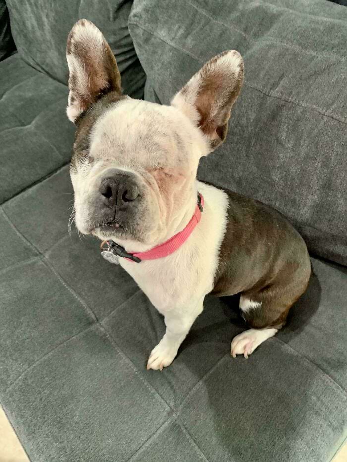 image-20250402142123-15