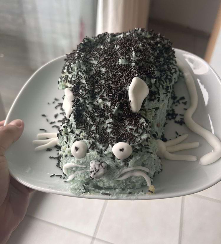 image-20250403105912-19