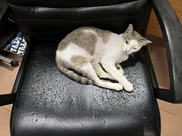 image-20250404140108-2