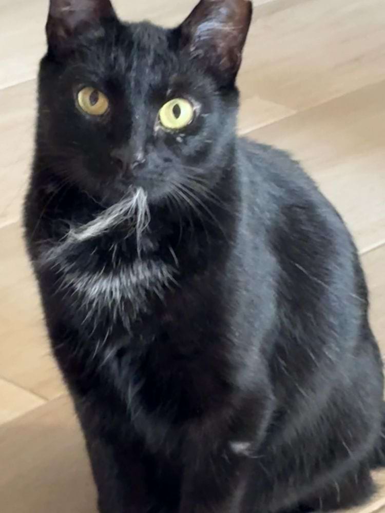 image-20250404140155-17