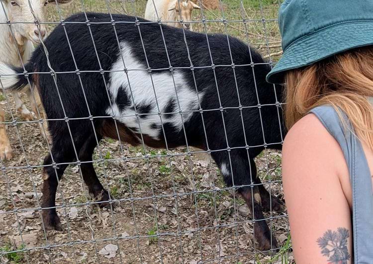 image-20250410162044-8