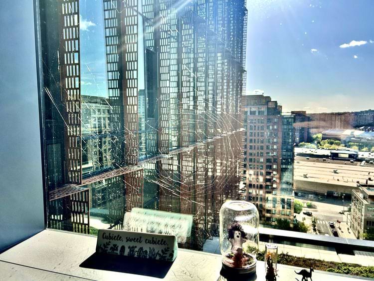 image-20250410162054-11