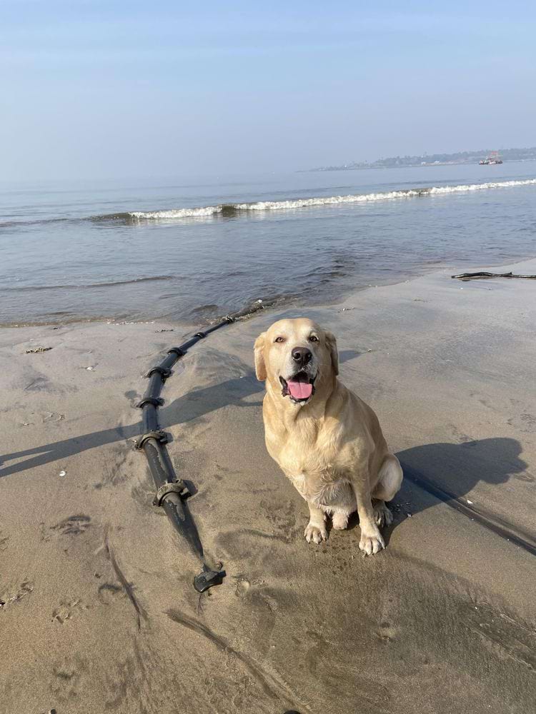 image-20250410162322-16