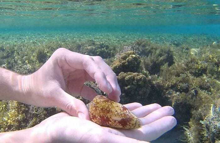 image-20250422123856-9