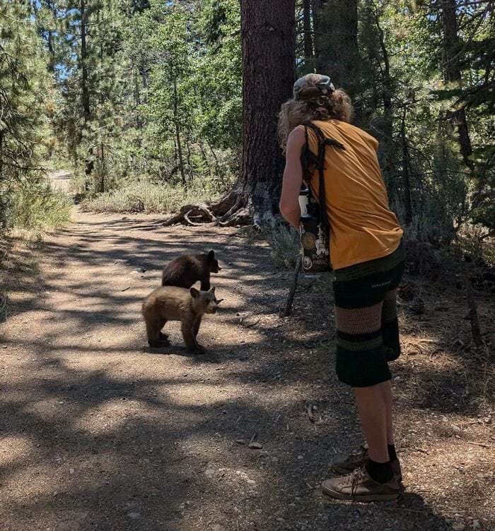 image-20250422123905-12