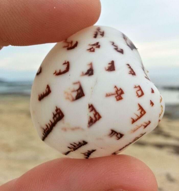 image-20250428160936-2