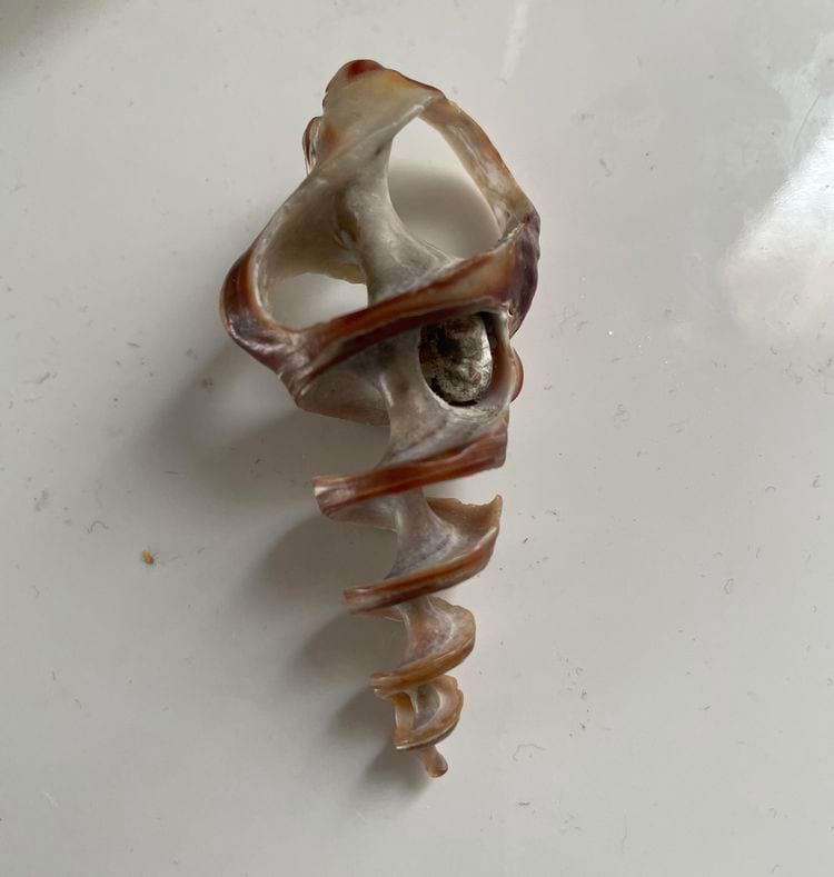 image-20250428160953-8