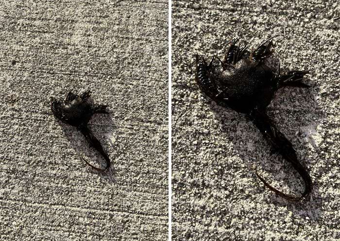 image-20250428161005-11