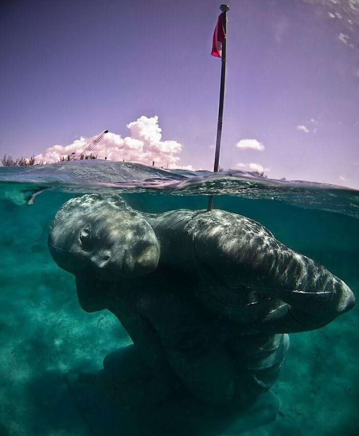 image-20250428161010-12