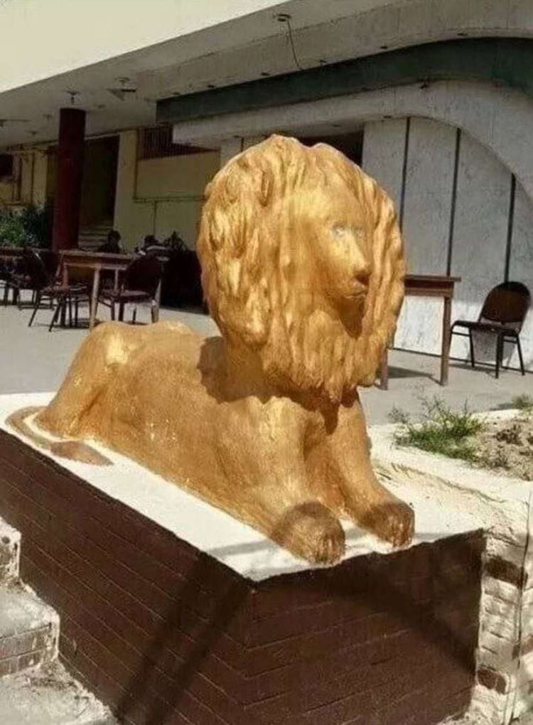 image-20250429115603-15