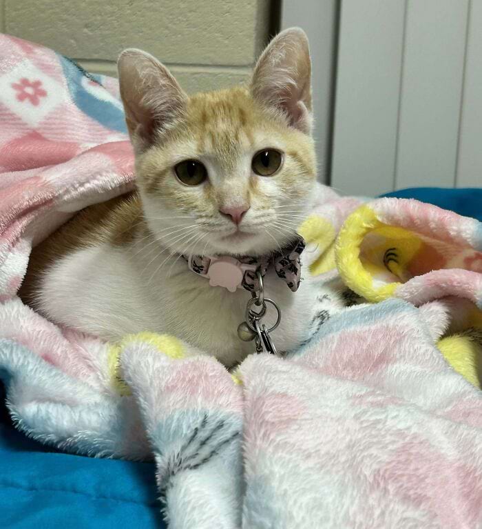 image-20250430161428-12