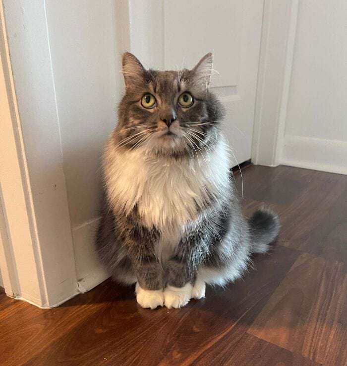 image-20250430161439-15