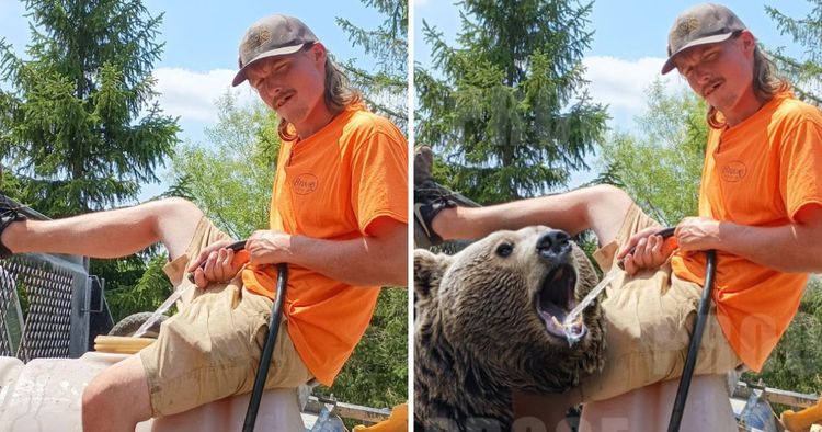 image-20250430173631-9