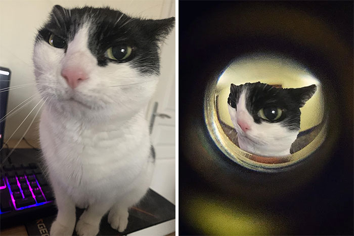 image-20250430173644-12