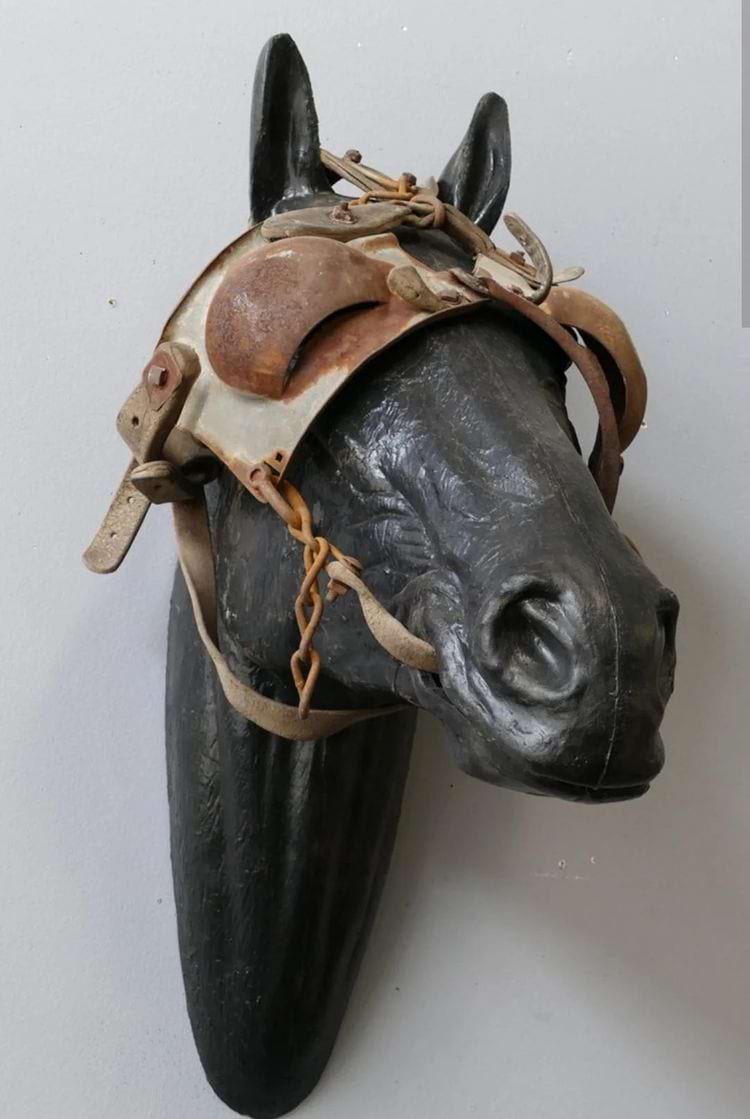 старинные шоры для лошадей
