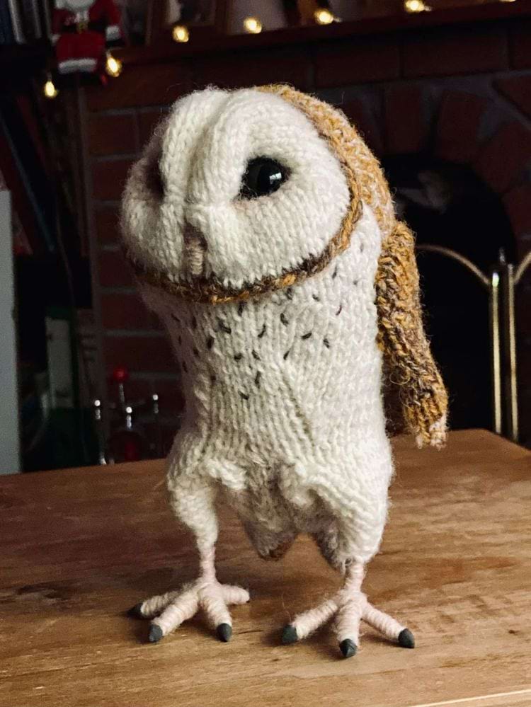 image-20250512121916-17