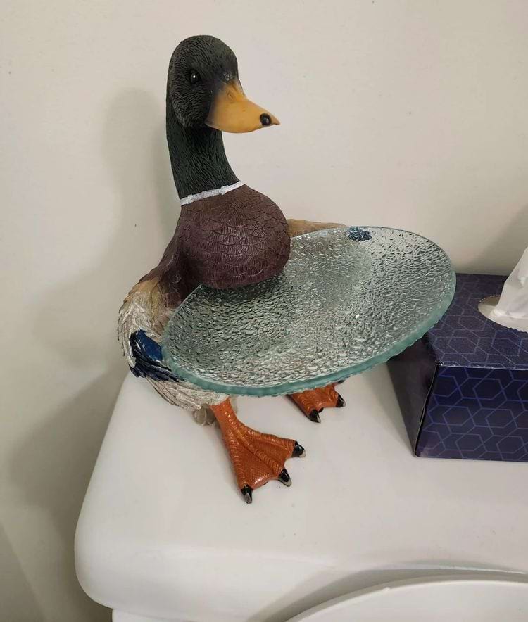 image-20250513134852-6