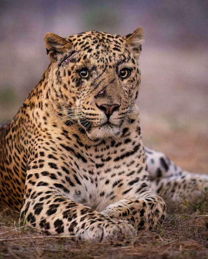 image-20250513154716-5