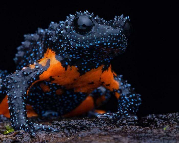 image-20250513154719-6