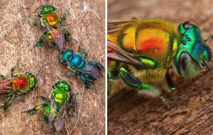 image-20250513154733-10