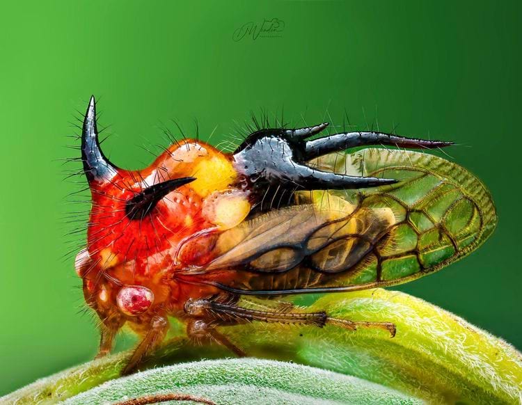 image-20250513154748-15