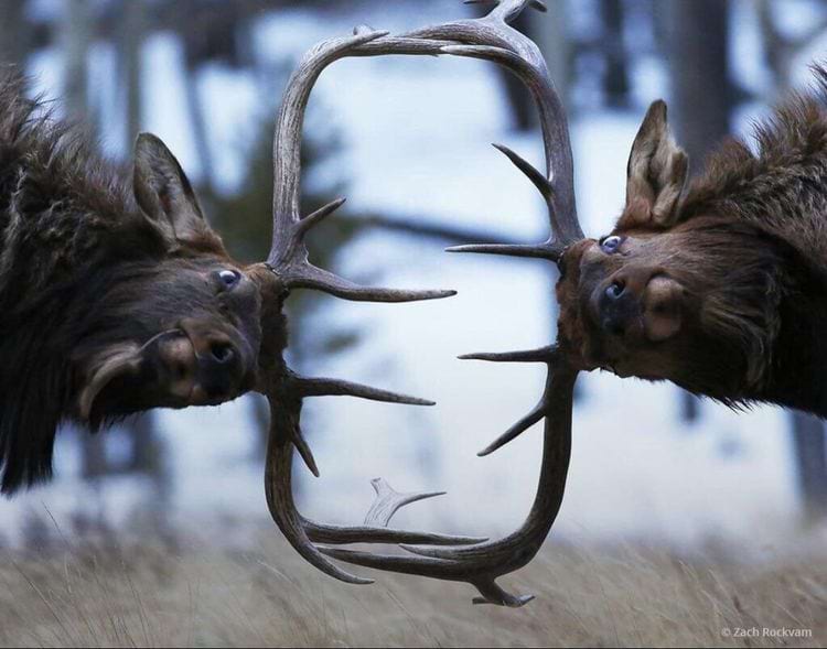 image-20250513154750-16