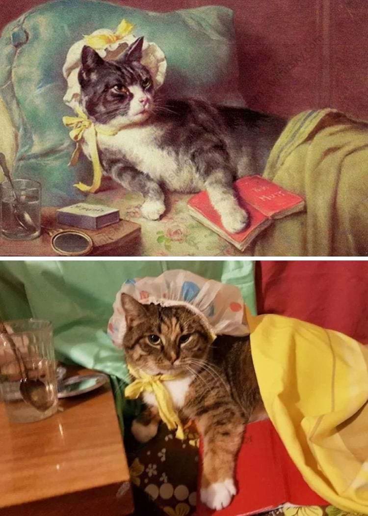 image-20250514110545-15