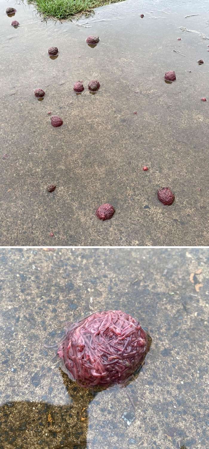 image-20250515150531-14