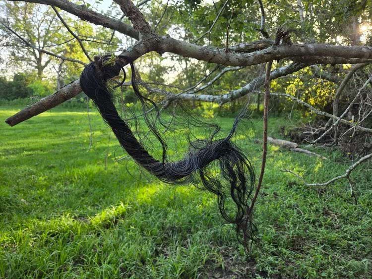 image-20250515150534-15