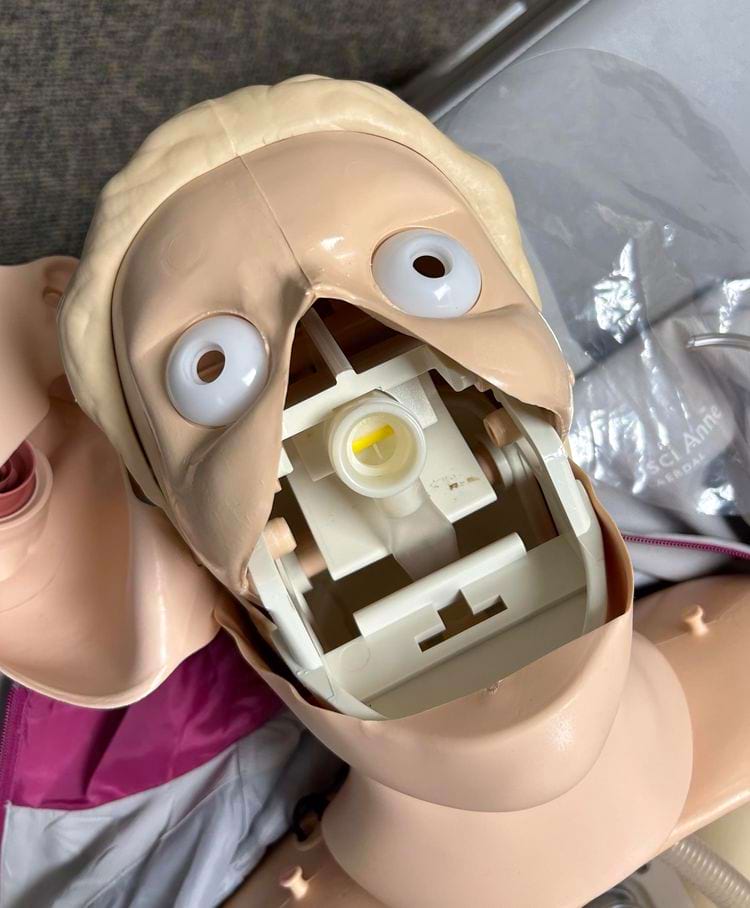 image-20250515150540-17