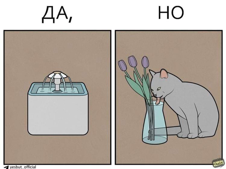 image-20250520122613-8