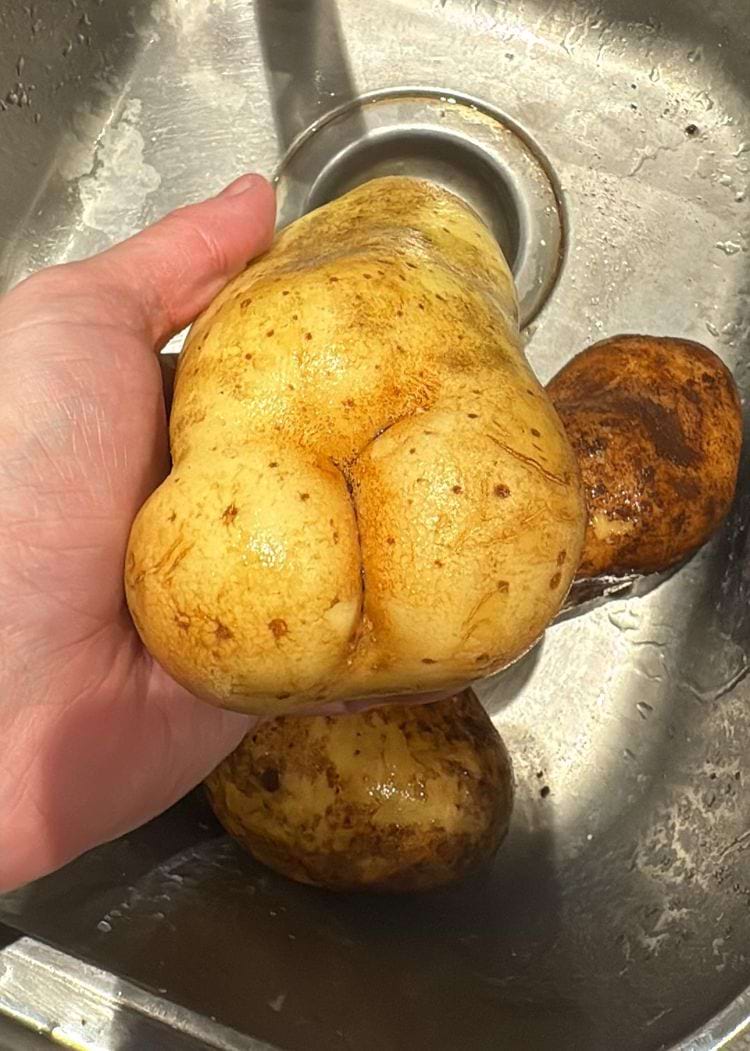 Картошка, у которой, кажется, есть ягодицы