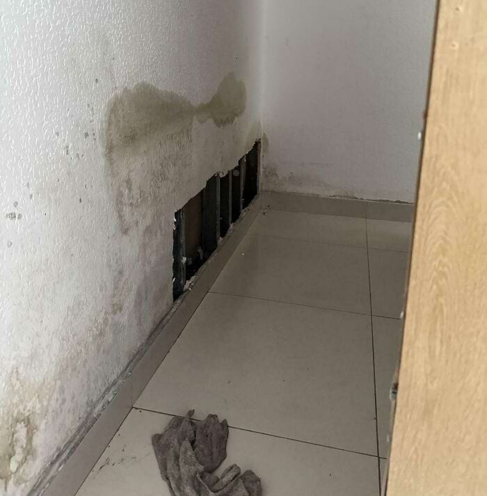 плесень на стене за шкафом