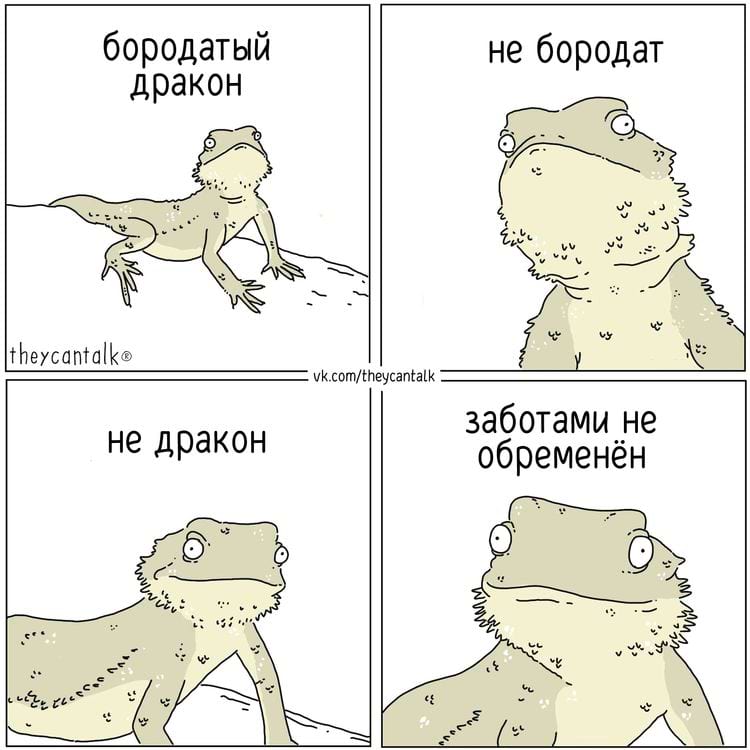 image-20250527110846-4