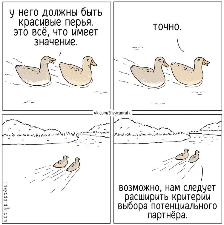 image-20250527110850-5