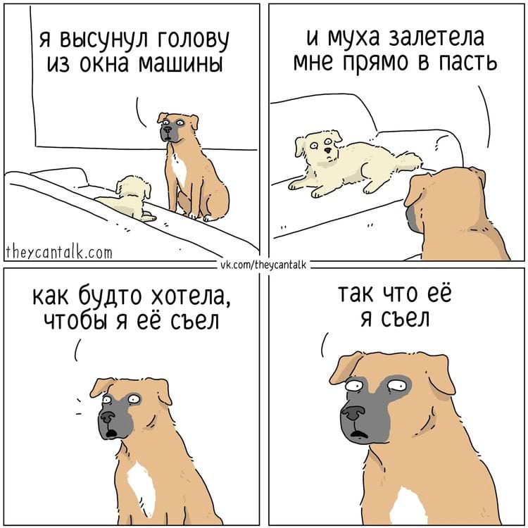 image-20250527110858-8